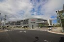 イオンモール堺鉄砲町(ショッピングセンター/アウトレットモール)まで1500m フジパレス堺香ヶ丘ウエスト