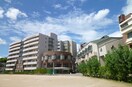関西福祉科学大学(大学/短大/専門学校)まで861m ソレアードⅠ