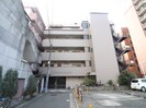 ﾊｲｸﾞﾚ-ﾄﾞ ﾜﾀﾞの外観