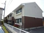 プラムコート
