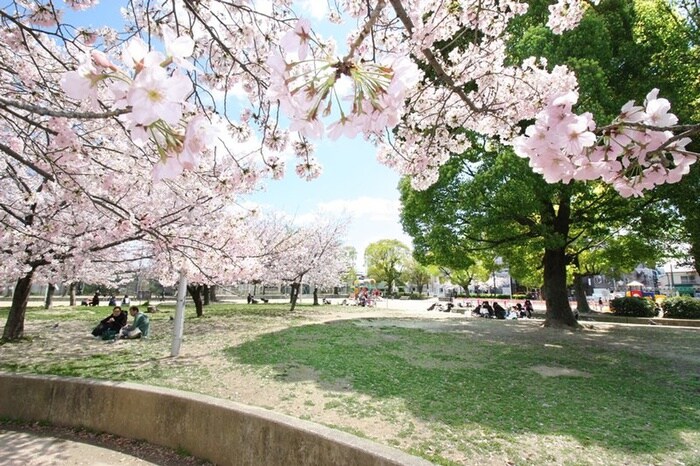 三ノ瀬公園(公園)まで165m グレース布施