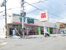 ドラッグひかり　西賀茂店(ドラッグストア)まで550m スクエア西賀茂