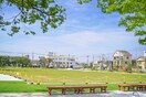 大枝公園(公園)まで800m Ｄ・Ｍタウン