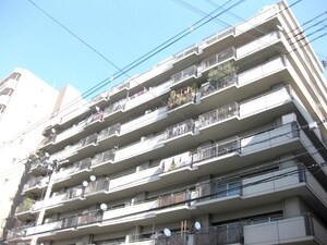朝日プラザ南堀江Ａ棟(1001)