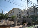 鳳小学校(小学校)まで210m サウスメゾンひまわり