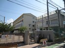 鳳小学校(小学校)まで210m サウスメゾンひまわり