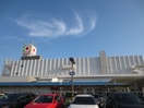 イズミヤ(スーパー)まで370m レイパレス小林