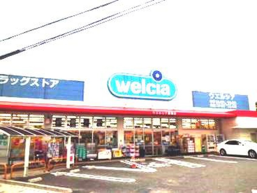 welcia(ドラッグストア)まで743m アンシャンテ