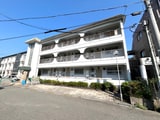 橋本マンション