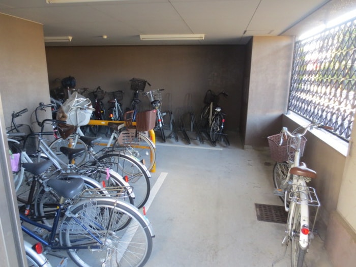 駐輪場 どりーむ