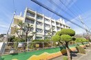 木屋小学校(小学校)まで56m ニュ－センチュリ－