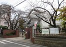 大阪市立丸山小学校(小学校)まで300m クレアシエスタ