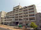 神戸徳洲会病院(病院)まで1500m ピュアコ－ト潮見が丘