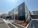 N.puaの外観