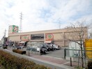 ライフ守口寺方店(スーパー)まで1000m グリーンピア守口Ａ棟