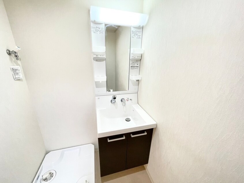 洗面 シャルム醍醐
