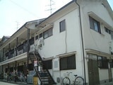 石野文化