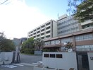 神戸大学(大学/短大/専門学校)まで900m パ－クサイド六甲