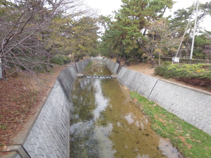 夙川(公園)まで570m ｓｏｅｕｒ－Ｇ