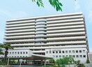 大阪赤十字病院(病院)まで1100m 真法院町デザイナーズ戸建
