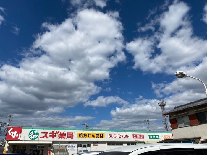 スギ薬局(ドラッグストア)まで1100m シャンテ小倉