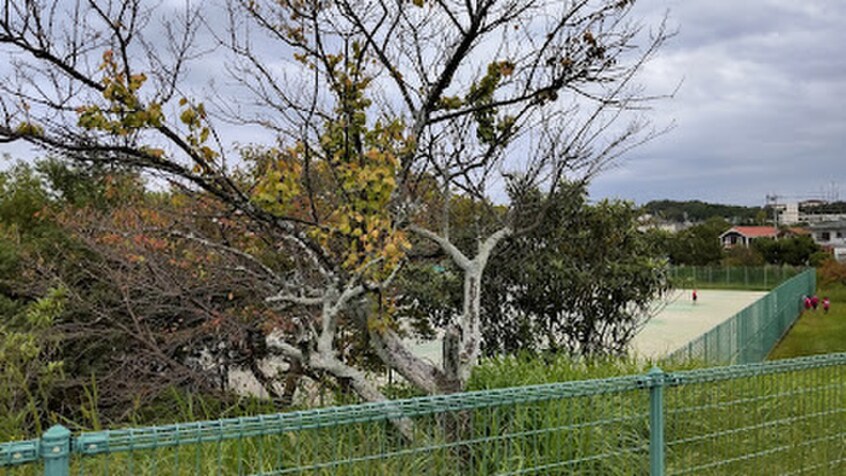 緑ヶ丘スポーツ公園(公園)まで429m サニーヒルズシンエイ