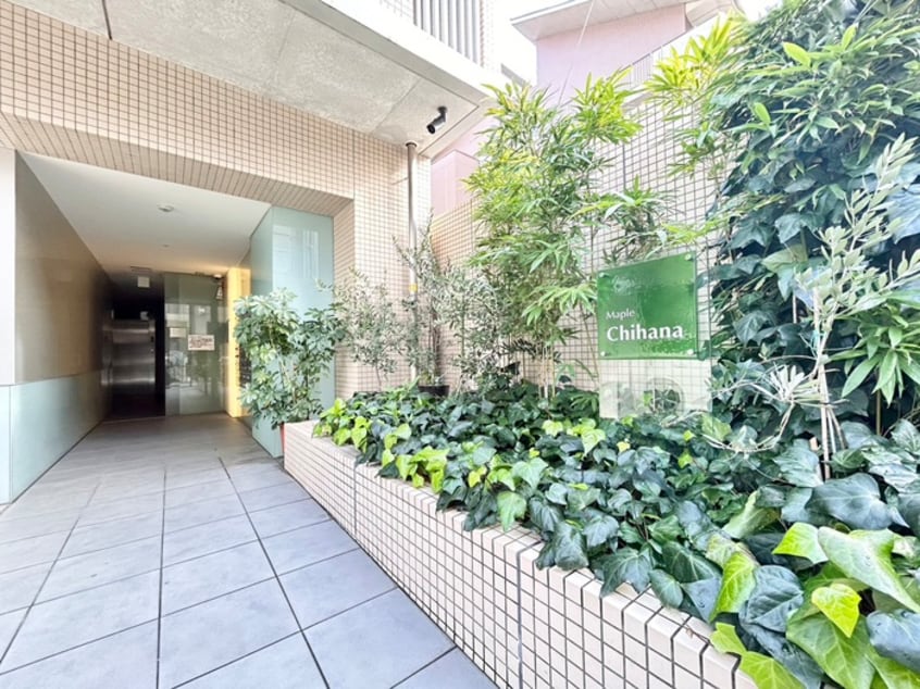 エントランス部分 メイプルチハナ