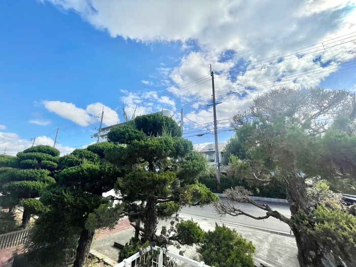 室内からの展望 ファミ－ル喜楽Ｂ棟