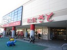和食さと(その他飲食（ファミレスなど）)まで317m 渡辺ハイツ