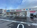ウエルシア近江八幡鷹飼店(ドラッグストア)まで900m グリーン茨木
