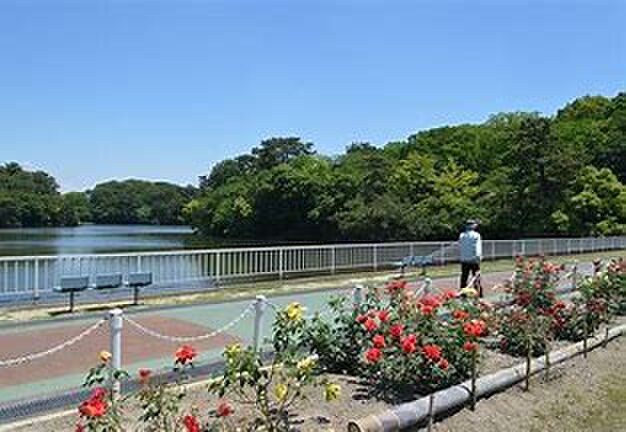 大池公園(公園)まで700m 五月ヶ丘グリ－ンヴィラ