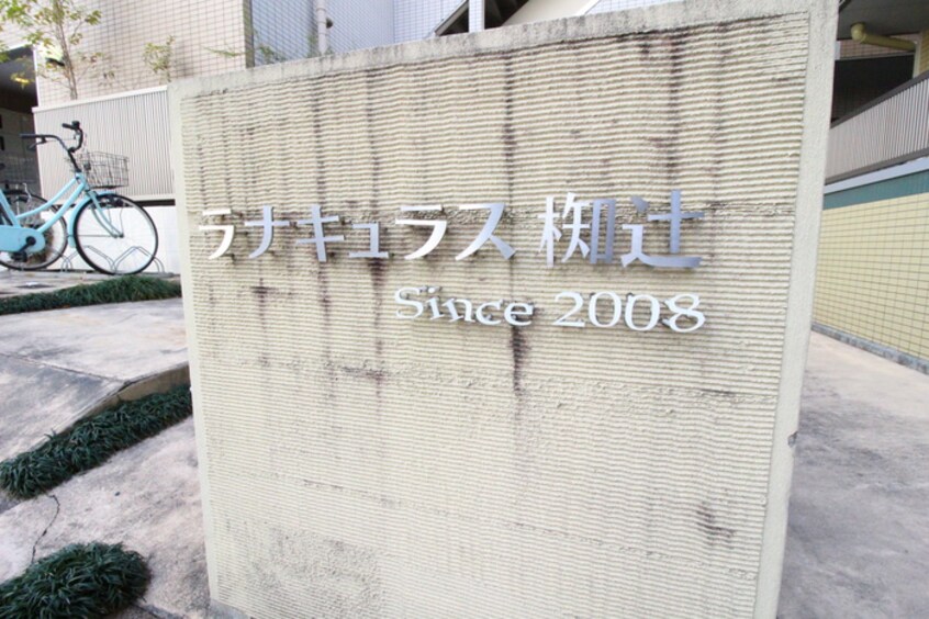 その他 ラナキュラス椥辻