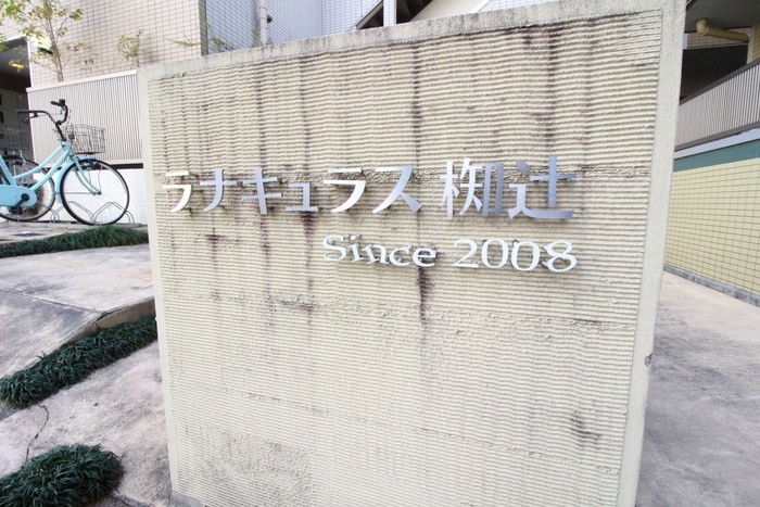 その他 ラナキュラス椥辻