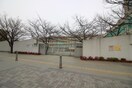 熊野小学校(小学校)まで350m ロトルア