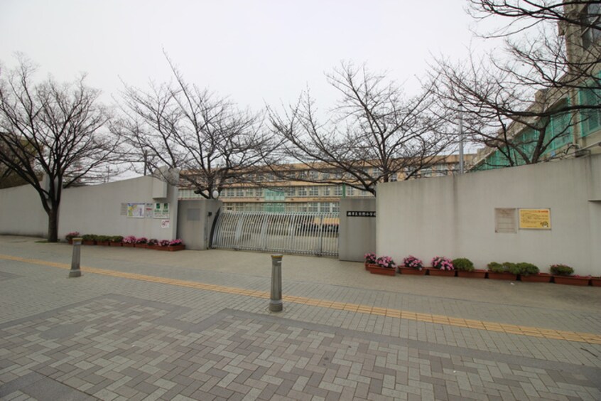熊野小学校(小学校)まで350m ロトルア