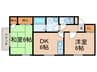 パセオナカイ 2DKの間取り