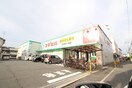 ジャパン　長瀬駅前店(ドラッグストア)まで190m D　porta Freesia