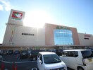 アルプラザ(スーパー)まで1300m ロザージュⅡ