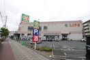 ライフ(スーパー)まで350m Ｌｕｘｅ淡路Ⅲ