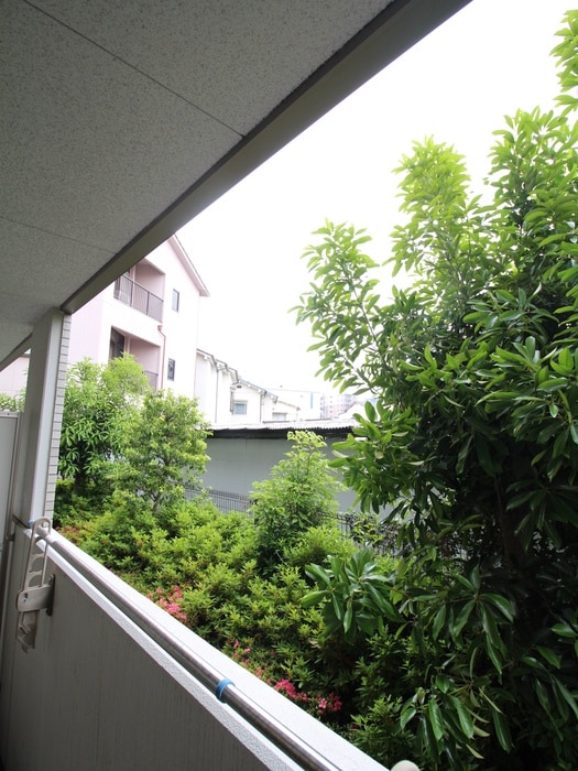 室内からの展望 ベルデュ－ル楓