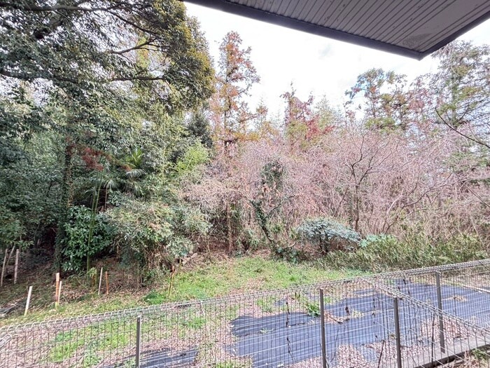 室内からの展望 ヴェルドミ－ルⅡ