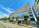 ラ・モール芦屋(503）の外観