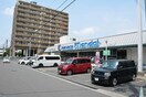 万代 鶴見今津店(スーパー)まで1000m KTIレジデンス徳庵Ⅲ