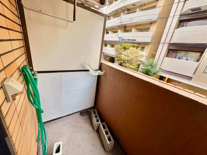 洗濯機置場 メゾンアマデウス