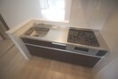 キッチン 向洋マンション