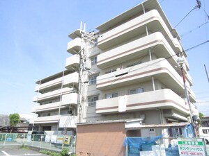 シャイニーカジモト