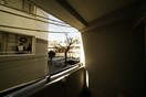 室内からの展望 ハンターレジデンス