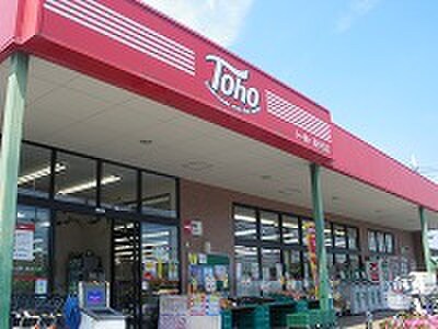 トーホー(スーパー)まで1500m グランクレール自由が丘