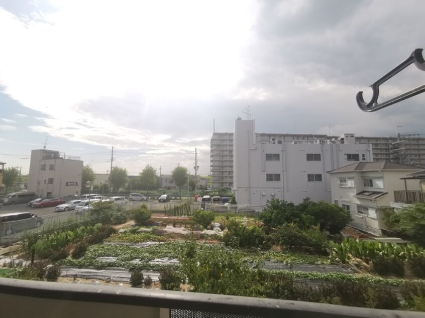 室内からの展望 ヴェルドミール出口