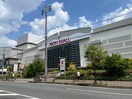 イオンモール(スーパー)まで216m ラビアンヌレポー